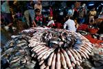 MYANMAR FISHERY MARKET