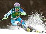 SLOVENIA ALPINE SKIING WORLD CUP