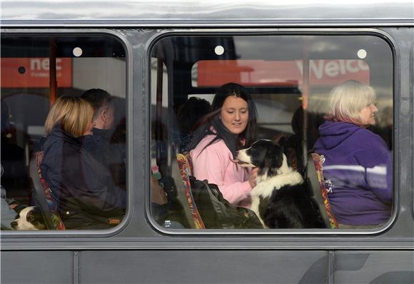 BRITAIN CRUFTS 2015