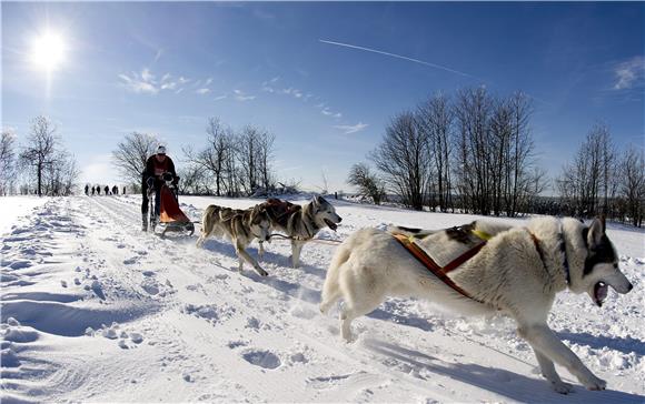 Iditarod - najteža utrka na svijetu