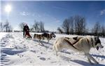 Iditarod - najteža utrka na svijetu