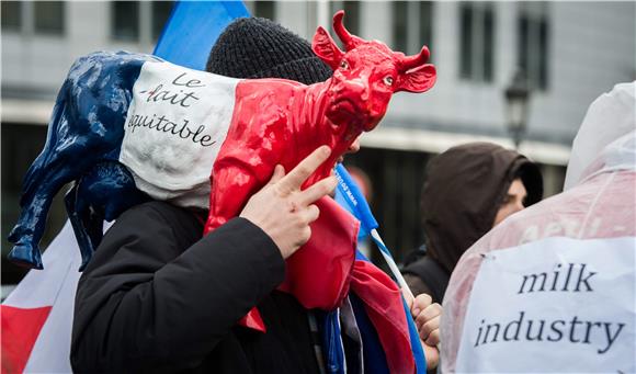 BELGIUM DAIRY FARMERS DEMONSTRATION