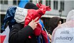 BELGIUM DAIRY FARMERS DEMONSTRATION