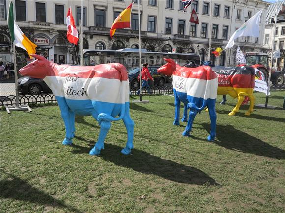 Prosvjed u Bruxellesu zbog mliječnih kvota, Hrvati zabrinuti 