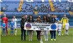 Polufinale nogometnog kupa, Dinamo - Rijeka