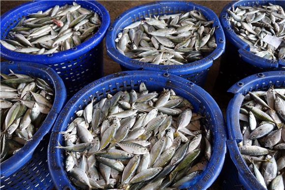 THAILAND EU FISHERIES WARNING 