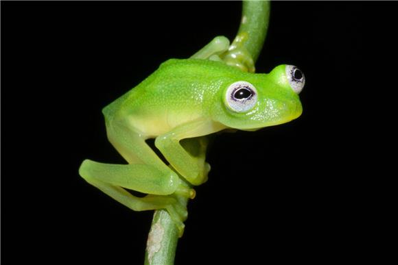 COSTA RICA BIODIVERSITY