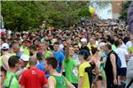 Zadar: Wings for Life World Run 2015. 