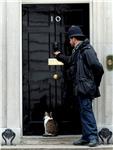 BRITAIN DOWNING STREET CAT