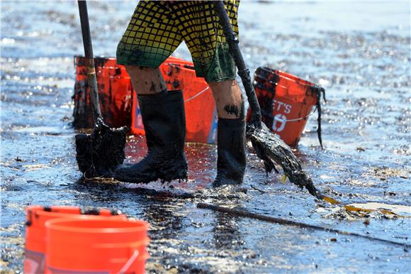 USA CALIFORNIA OIL SPILL