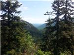 Rođendani NP Sjeverni Velebit i Parka prirode Velebit 