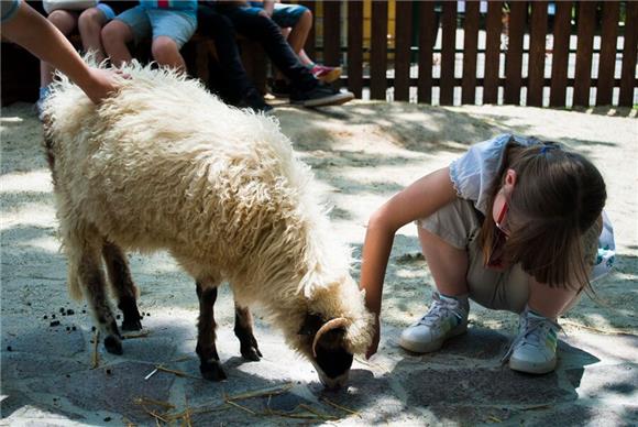 Zagreb: počeli upisi djece u 'Divlje ljeto u ZOO vrtu'