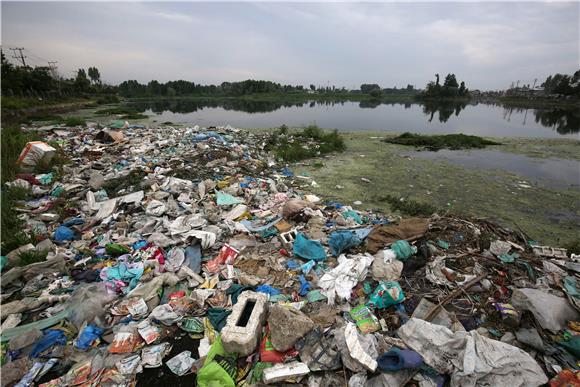 INDIA-KASHMIR  WORLD ENVIRONMENT DAY