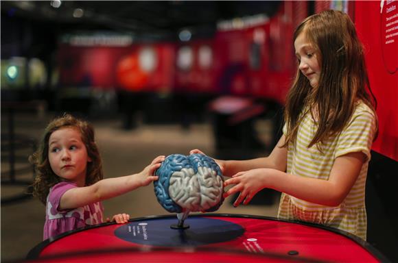 USA BRAIN EXHIBIT