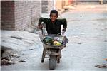 PAKISTAN ILO CHILD LABOR