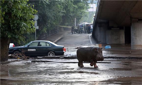 GEORGIA FLOOD