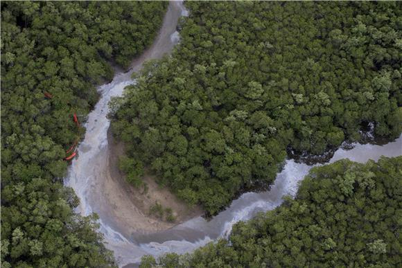 BRAZIL ENVIRONMENT