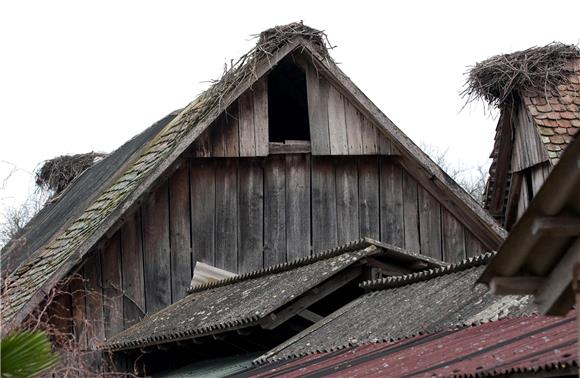 Conference of European stork villages to take place in Cigoc