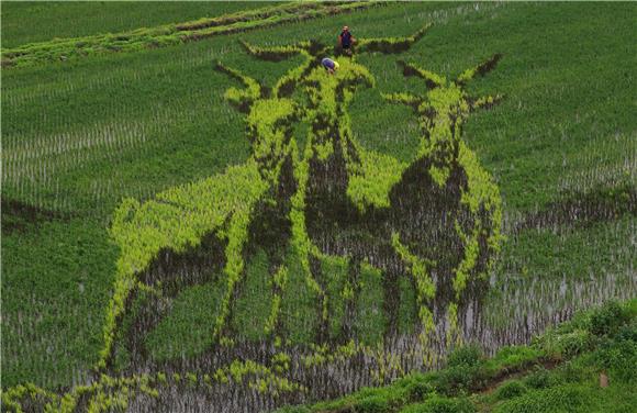 CHINA AGRICULTURE 3D ART