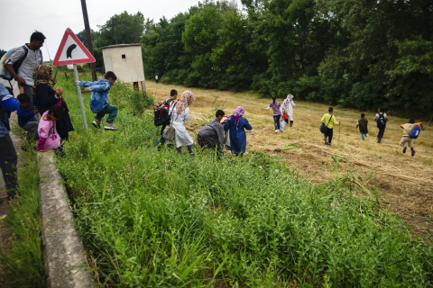 SERBIA HUNGARY MIGRATION