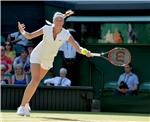 BRITAIN TENNIS WIMBLEDON 2015 GRAND SLAM