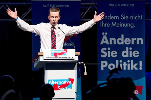 GERMANY PARTIES AFD