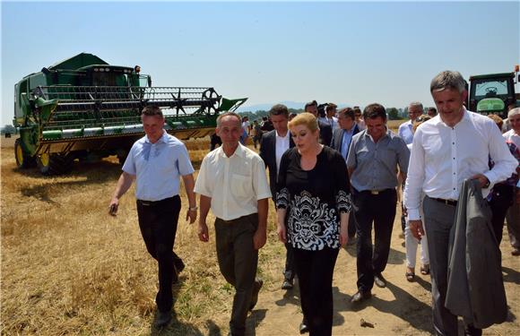 Predsjednica Grabar Kitarović na žetvi u Slavoniji