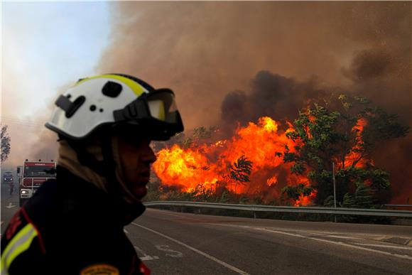 PORTUGAL FOREST FIRE