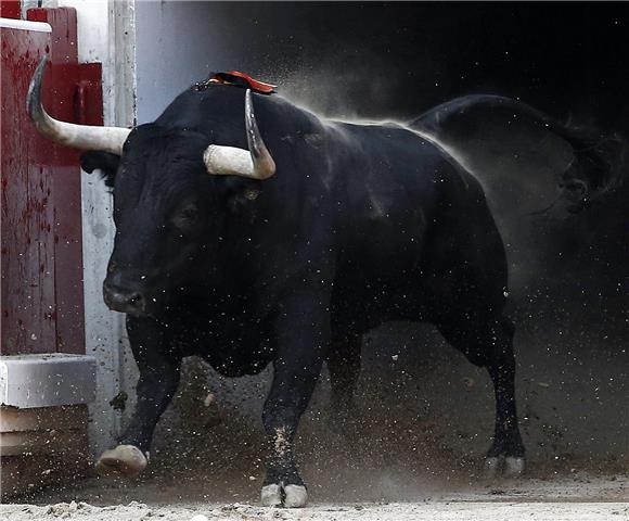 SPAIN SAN FERMIN FESTIVAL 2015