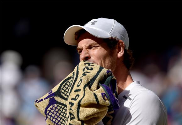 BRITAIN TENNIS WIMBLEDON 2015 GRAND SLAM