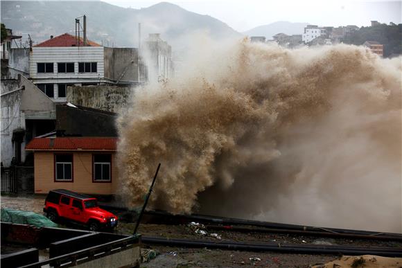 CHINA TYPHOON CHAN HOM