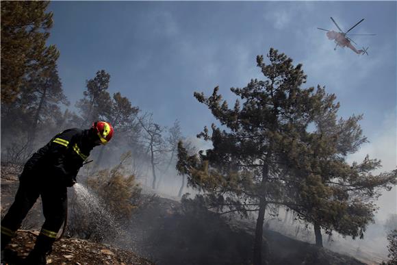 GREECE WILDFIRES