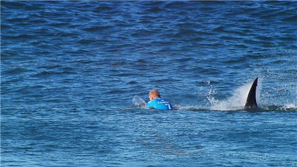 Surfer u JAR-u uspio izbjeći napad morskih pasa