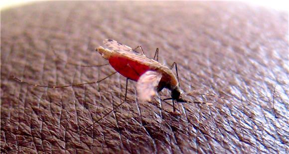 FILE KENYA MALARIA VACCINE APPROVED