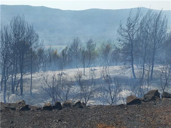 Situation in fire-stricken Peljesac peninsula improves