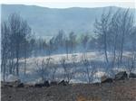 Situation in fire-stricken Peljesac peninsula improves