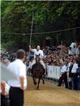 Sinj: Uoči 300-te Sinjske alke održala se Bara