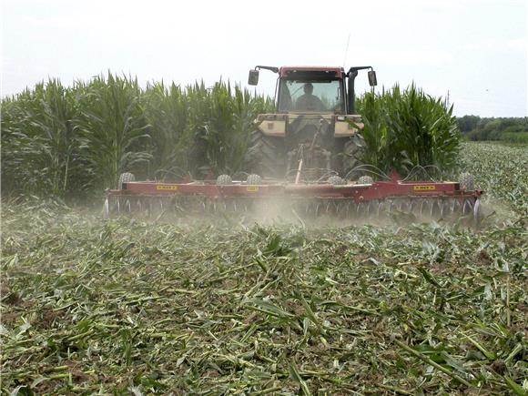 Škotska će zabraniti GMO usjeve