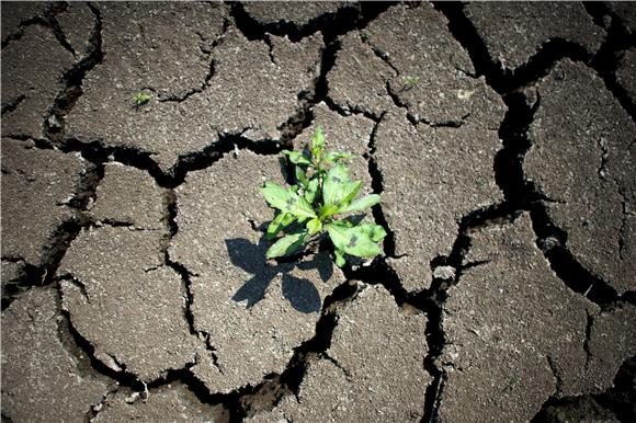 GERMANY DROUGHT