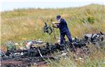 Dijelovi na mjestu pada MH17 možda s BUK-a - istražitelji