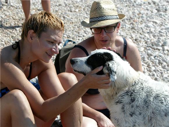 Četvrto podvodno fotografiranje pasa 'Morski pas'