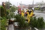 JAPAN WEATHER TYPHOON GONI