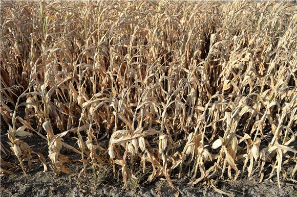 POLAND WEATHER DROUGHT