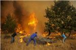 SPAIN FOREST FIRE