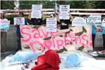 SOUTH KOREA JAPAN DOLPHIN PROTEST