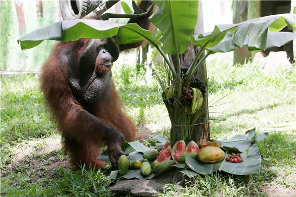 INDONESIA BALI ZOO