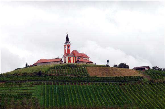 Ozalj: izložba o povijesti vinarstva uz Dan otvorenih bačvi