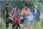 MIGRANTS IN SOUTH SERBIAN CITY PRESEVO