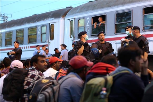 IZBJEGLICE Iz Tovarnika 28 autobusa migranata otišlo prema mađarskoj granici