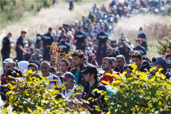 IZBJEGLICE - Tisuću migranata kreće se od Bapske prema Opatovcu